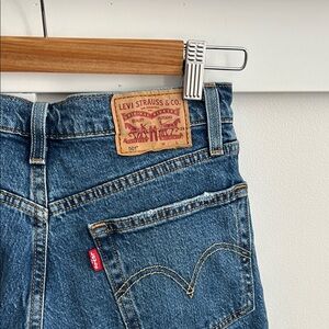 Levi Strauss & Co. Blue Denim Jeans